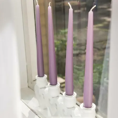 Cozy Free Parking Reval