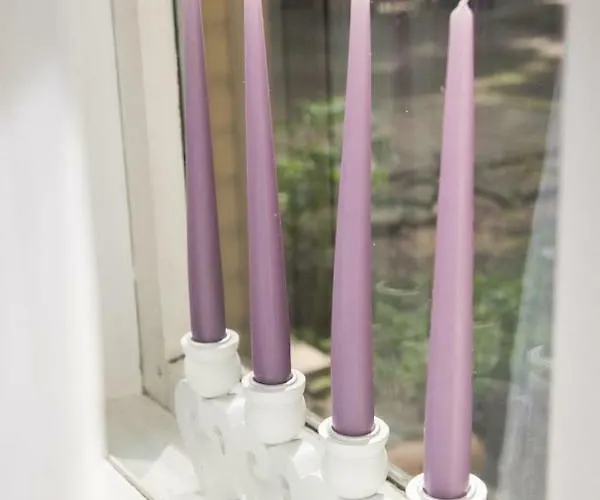 Cozy Free Parking 탈린